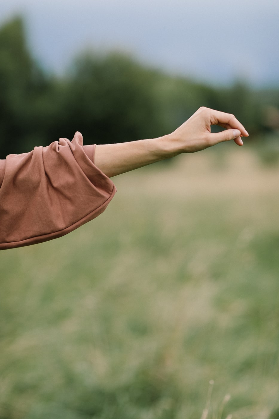 ROSA /brandy cotton/